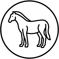 line drawing of a horse in a circular outline symbolizing three horse breeds